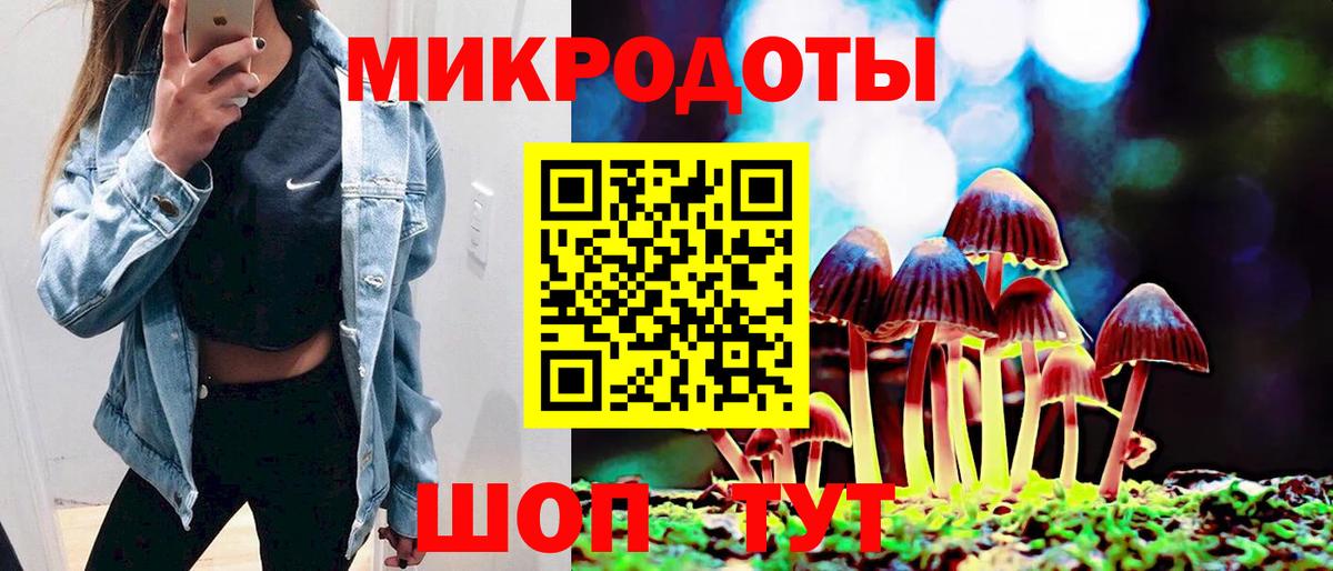 Керчь  Псилоцибиновые грибы MAGIC MUSHROOMS  Вход с VPN 